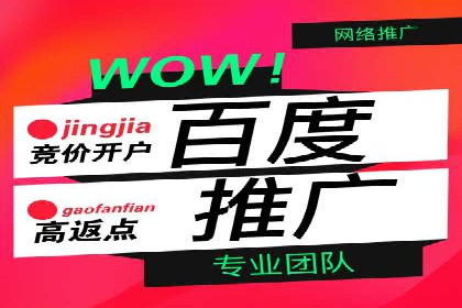 案例解读：SEM托管助力品牌提升